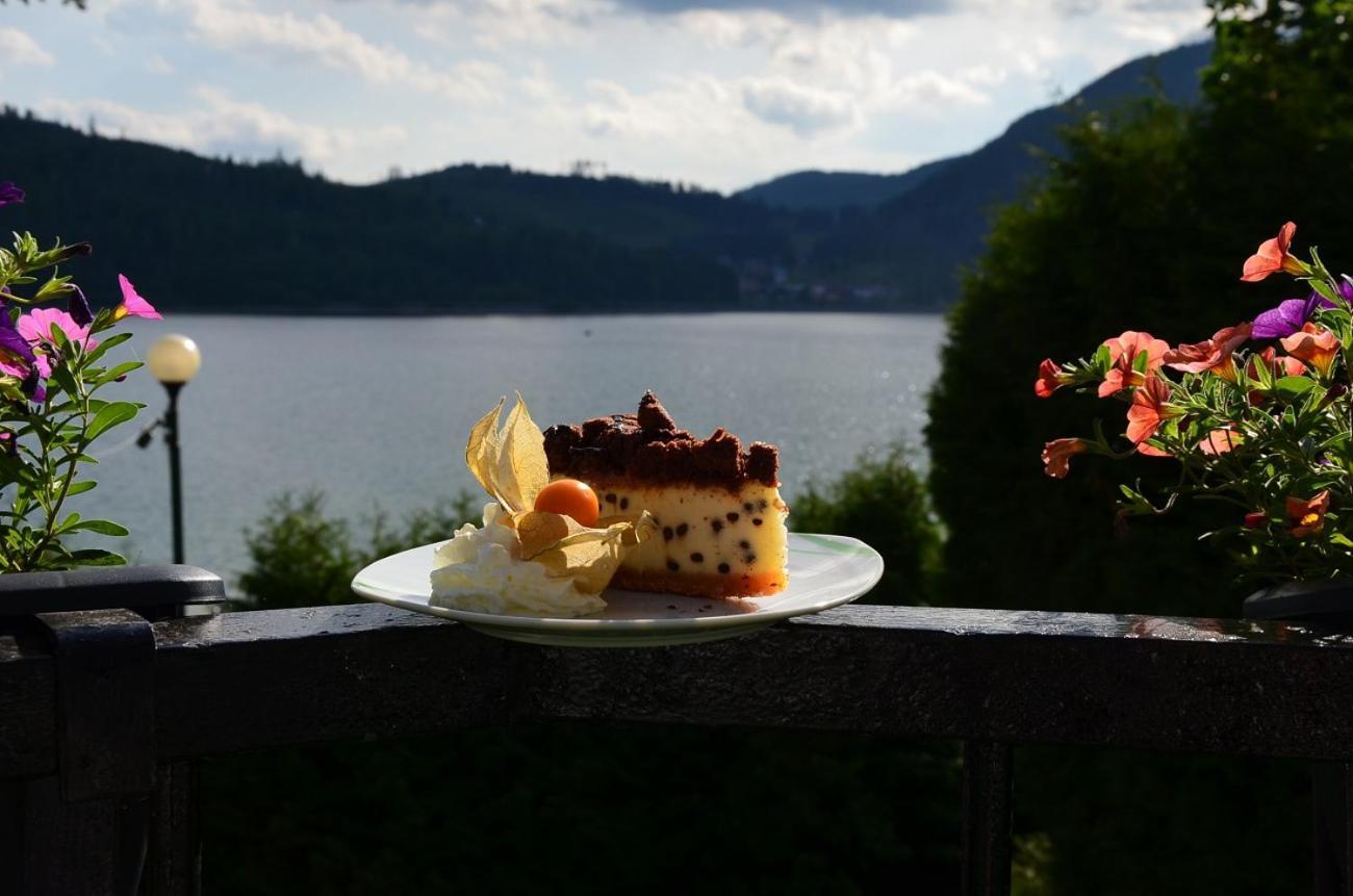 Hotel Priehrada デディンキ エクステリア 写真
